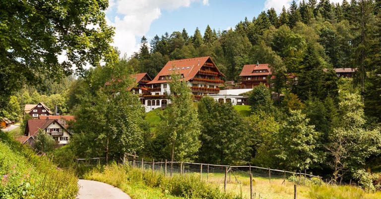 Der Schwarzwald – das perfekte Ziel für deinen Urlaub in der Natur